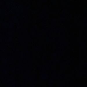 Meet your Posher, Genevieve